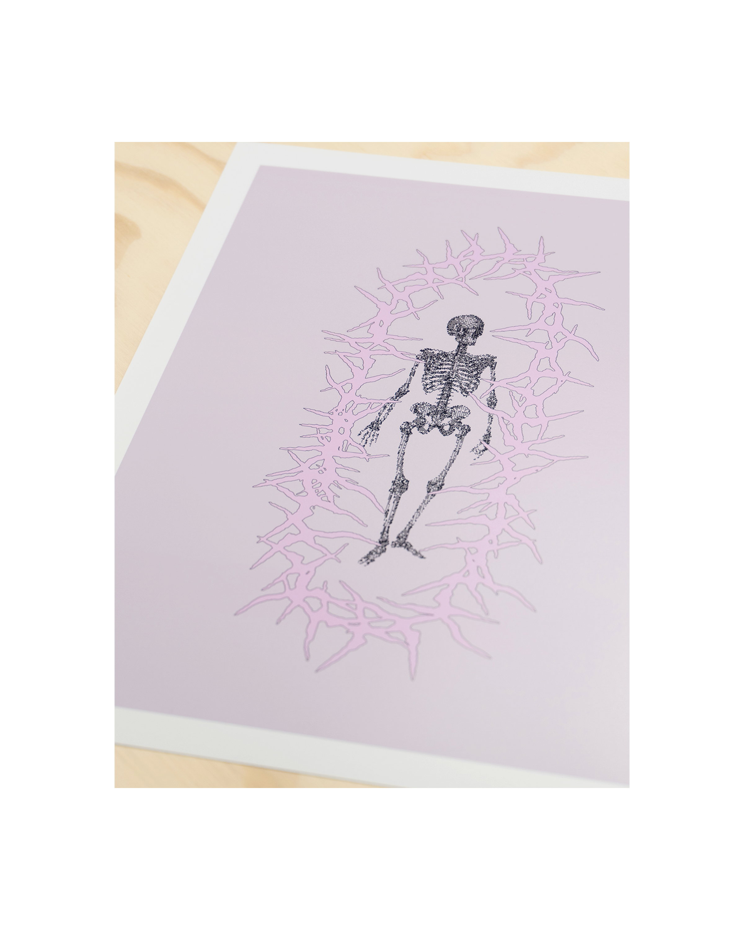 Bones