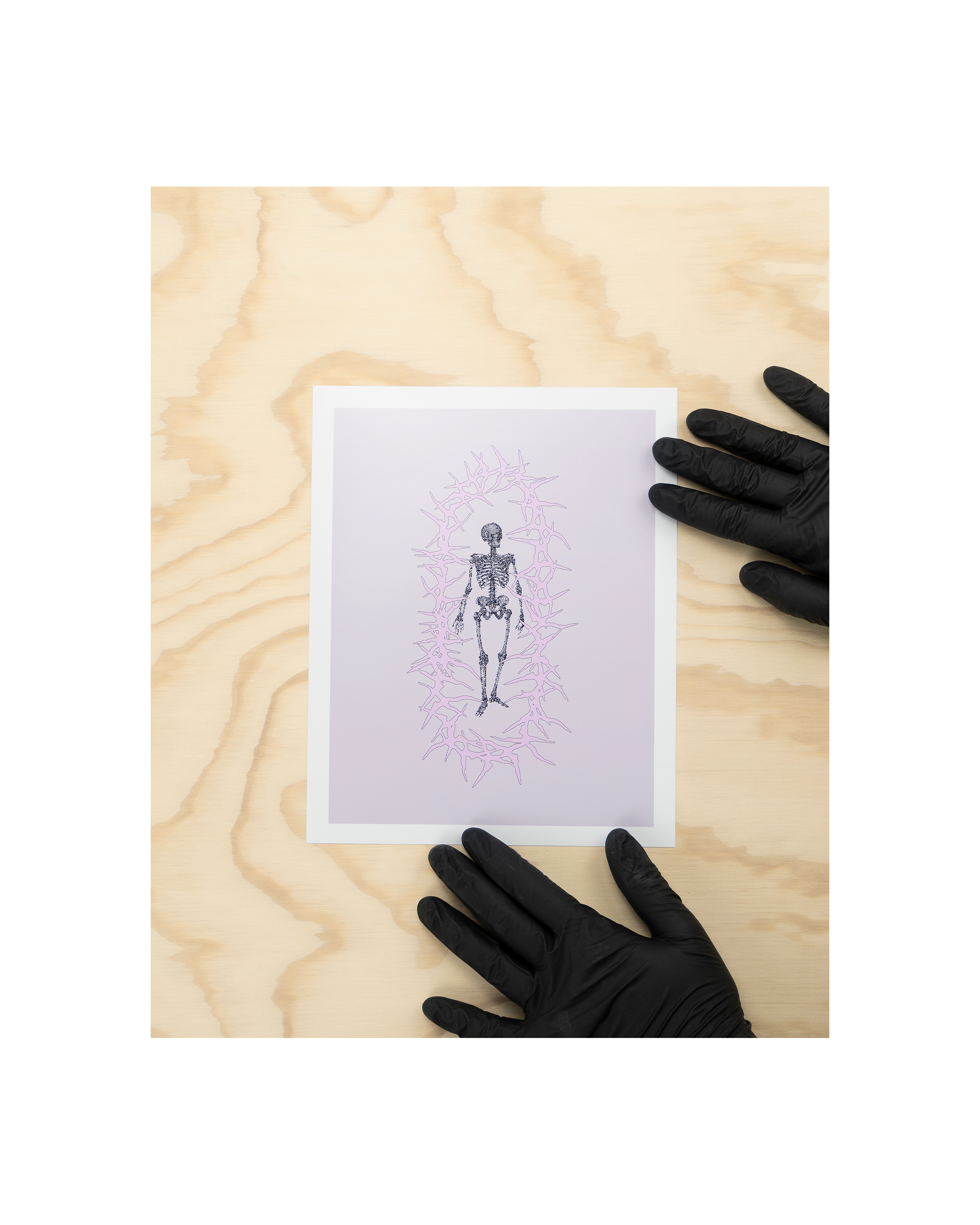 Bones