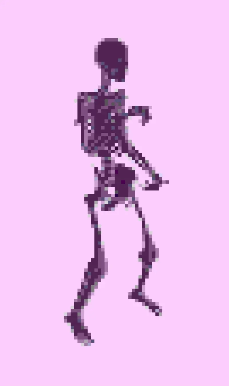 Bones