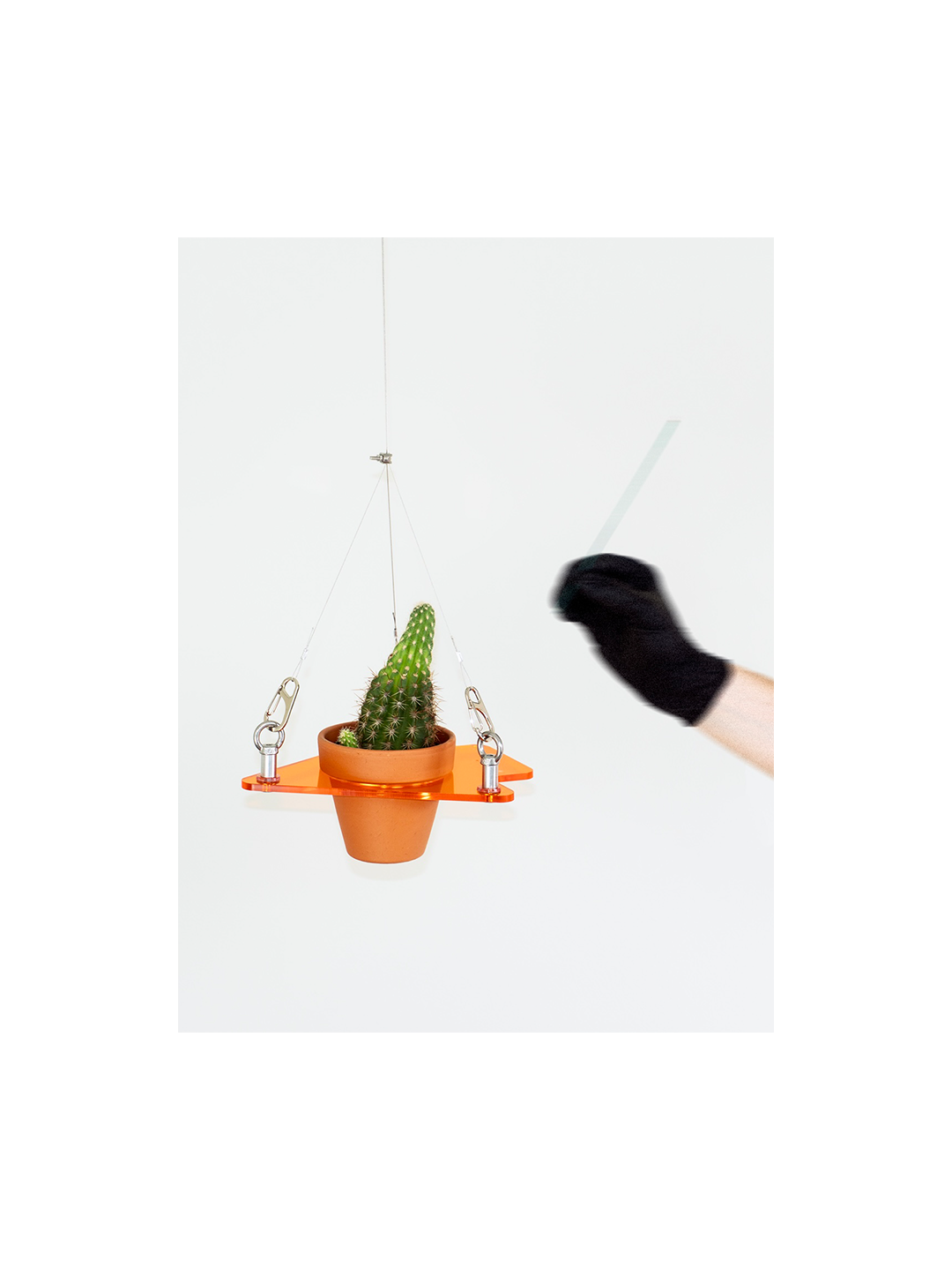 cb2 plant hanger Hanger' (Plants.Are.Decor) – THEPROTOTYPIST studios